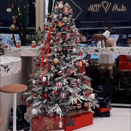 بهترین کافه رستوران مناسب کریسمس تهران 2024-کافه گردی تهران